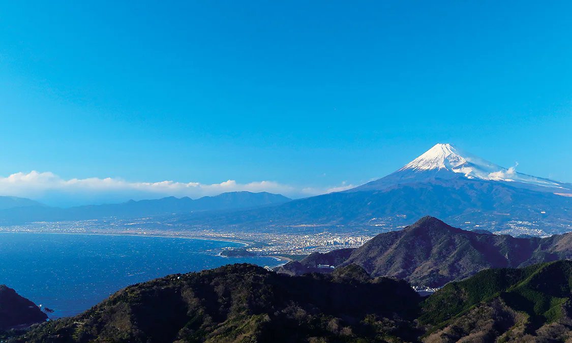 🌳 이즈미 시키부 공원(이즈미 시키부 코엔) 이미지 8